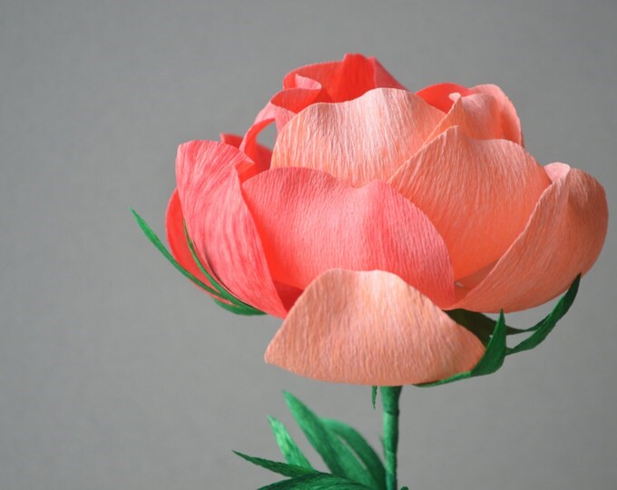 opako.com.pl-bibuła-opakowanie-papier