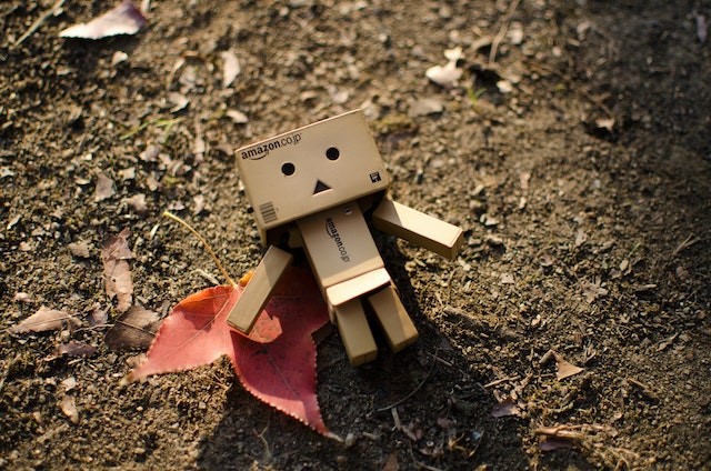 Niewiarygodne i kreatywne kartonowe konstrukcje