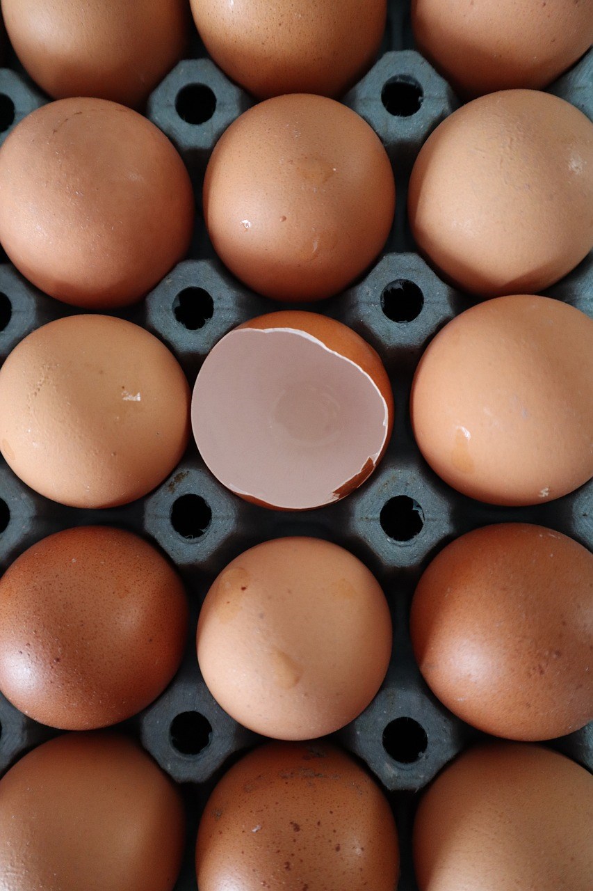 Jak wysłać jajka kurierem? Jak je zabezpieczyć?