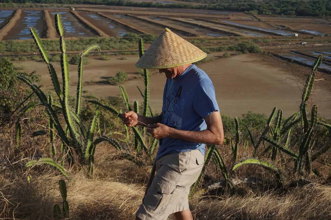 Papier-pakowy--historia-podzia-i-zastosowanie
